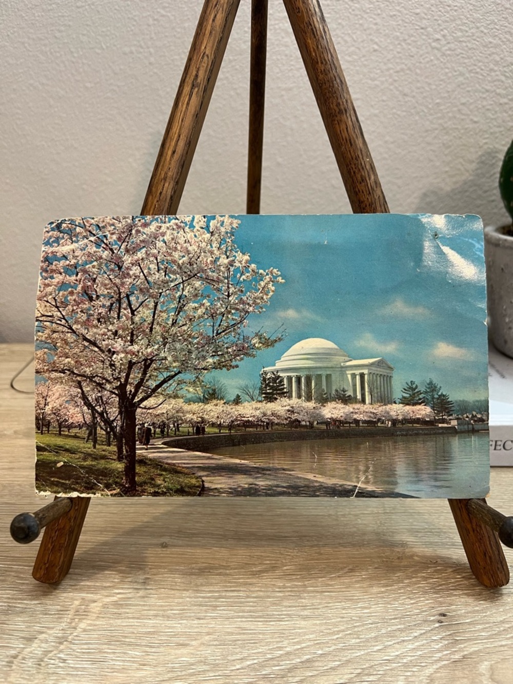 1957 Jefferson Memorial Cherry Blossoms Washington DC Postcard Postage Due